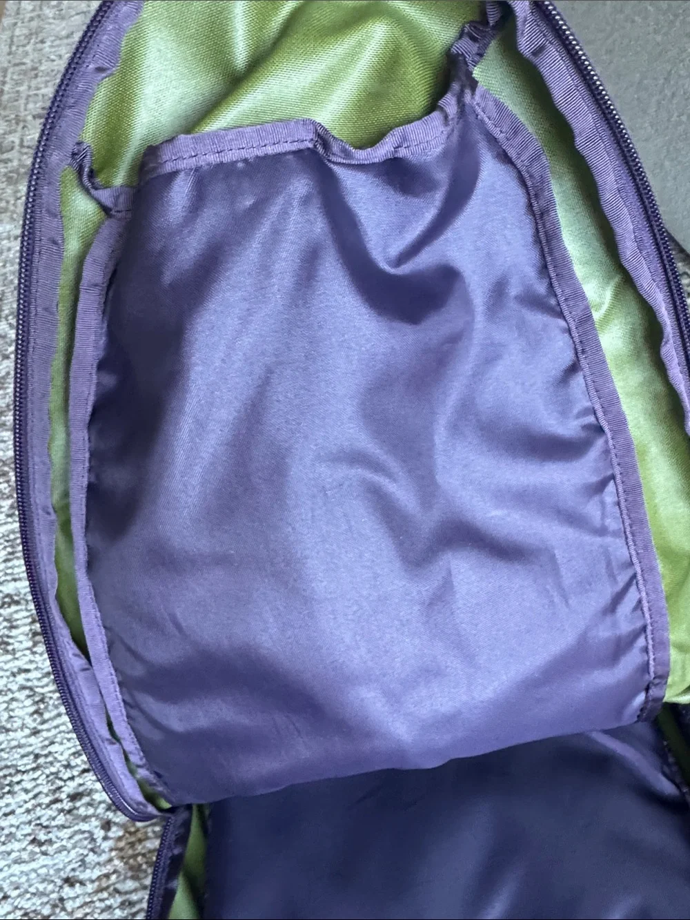Patagonia Atom 18L Olive Green Backpack with Purple Accents